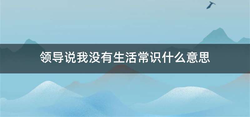领导说我没有生活常识什么意思