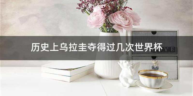 历史上乌拉圭夺得过几次世界杯