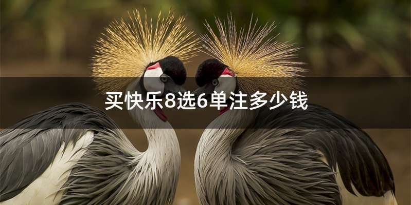 买快乐8选6单注多少钱