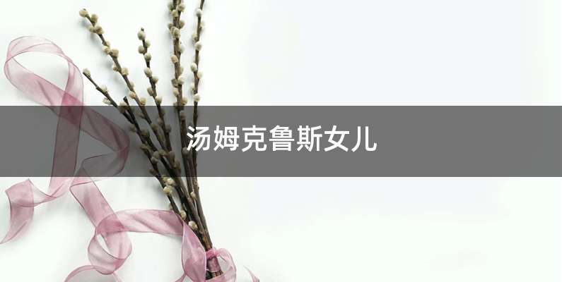 汤姆克鲁斯女儿