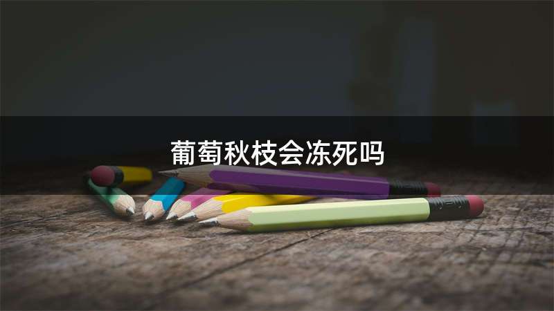 葡萄秋枝会冻死吗