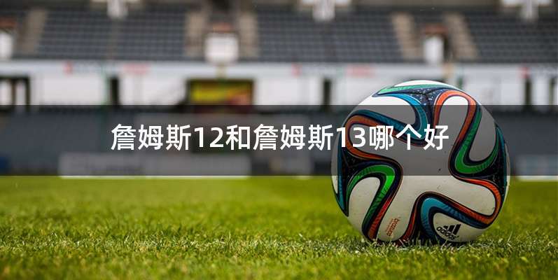 詹姆斯12和詹姆斯13哪个好