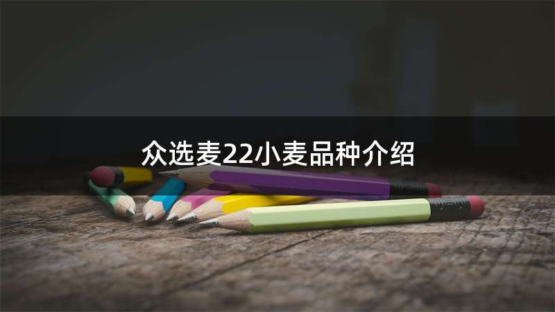 众选麦22小麦品种介绍