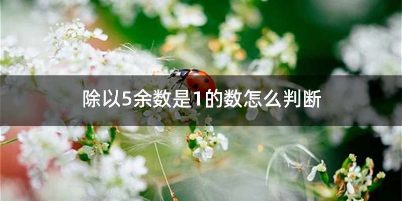 除以5余数是1的数怎么判断