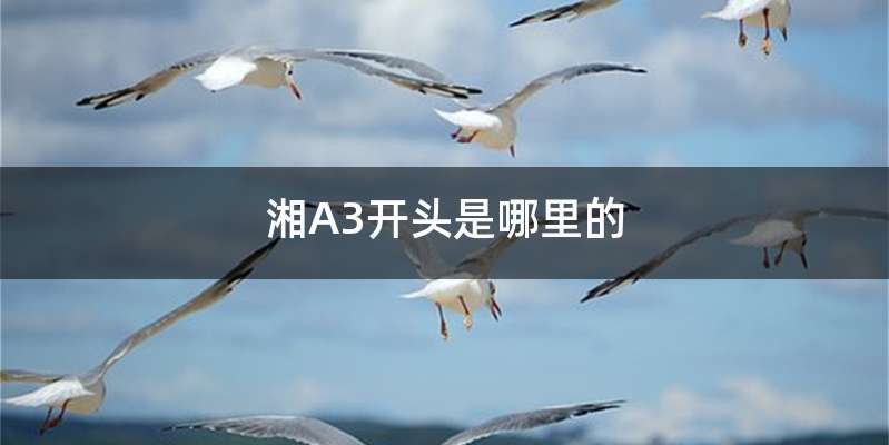 湘A3开头是哪里的