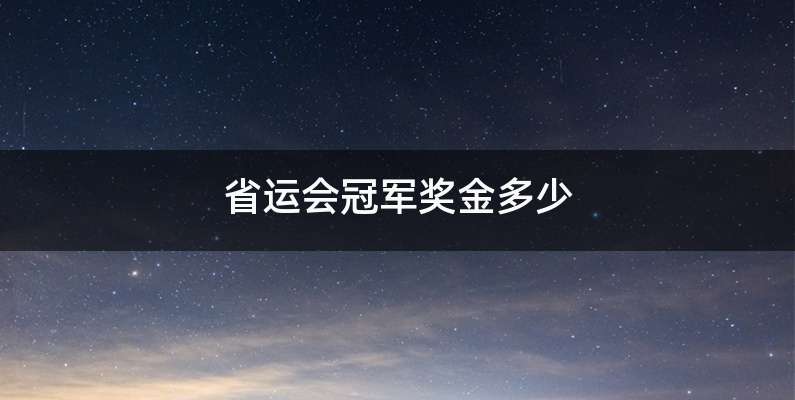 省运会冠军奖金多少