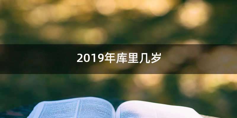 2019年库里几岁