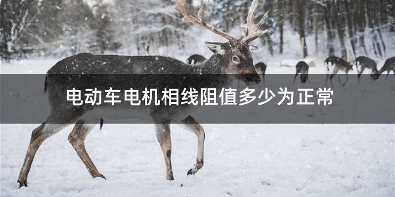 电动车电机相线阻值多少为正常