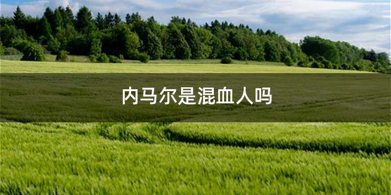 内马尔是混血人吗