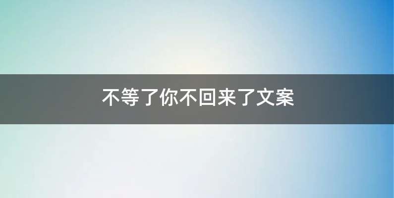 不等了你不回来了文案