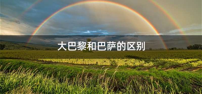 大巴黎和巴萨的区别