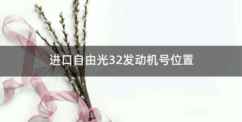进口自由光32发动机号位置