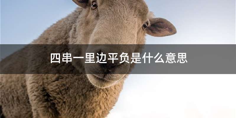 四串一里边平负是什么意思