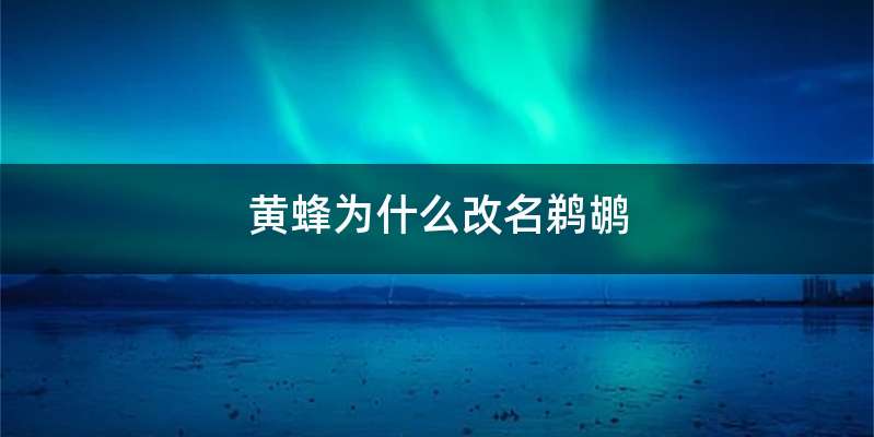 黄蜂为什么改名鹈鹕
