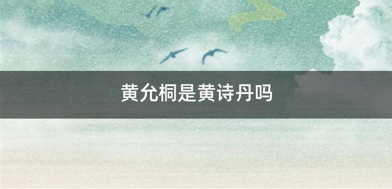 黄允桐是黄诗丹吗