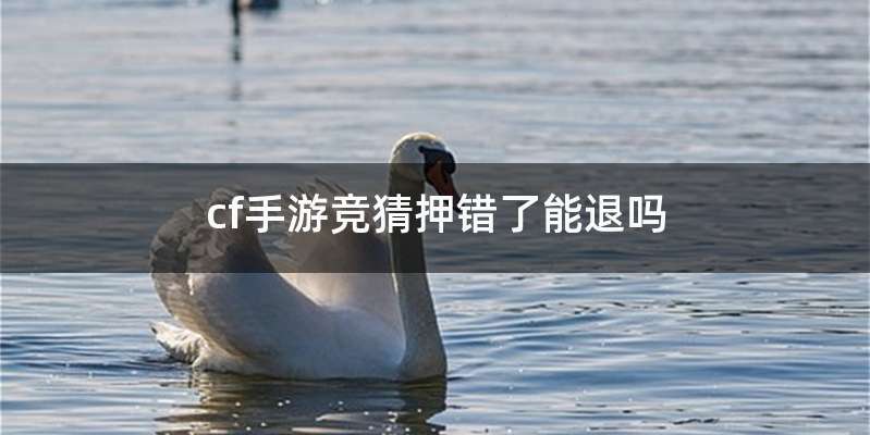 cf手游竞猜押错了能退吗