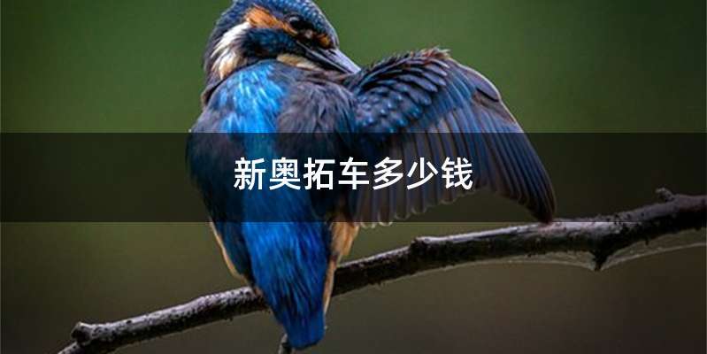 新奥拓车多少钱