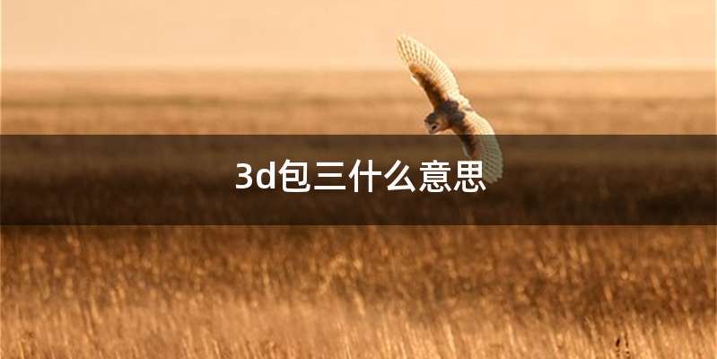 3d包三什么意思