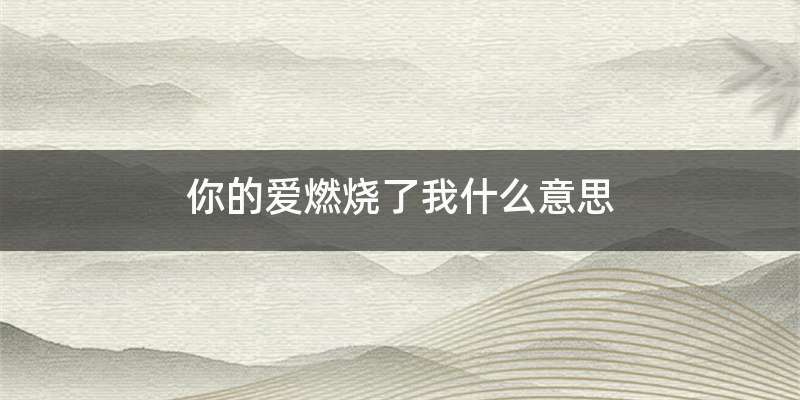 你的爱燃烧了我什么意思