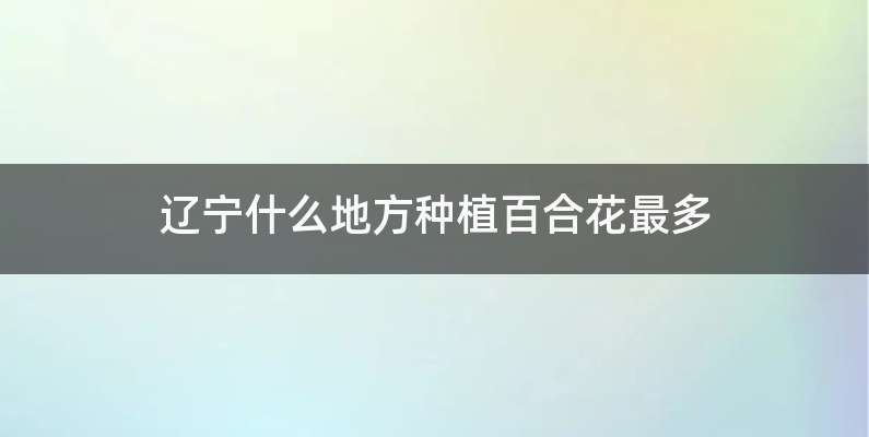 辽宁什么地方种植百合花最多