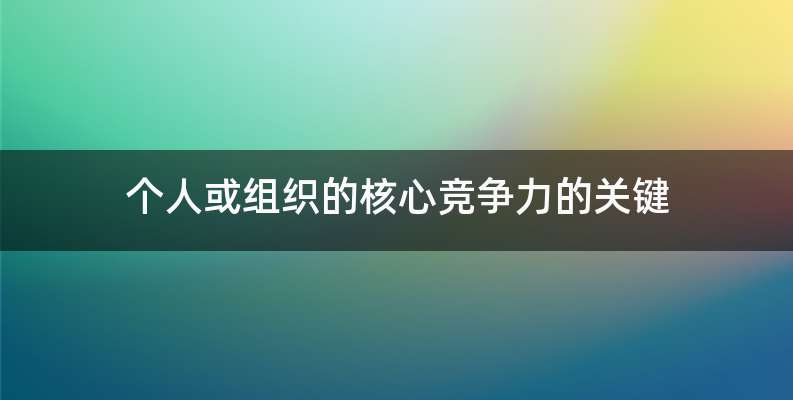 个人或组织的核心竞争力的关键
