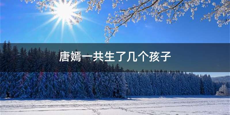 唐嫣一共生了几个孩子