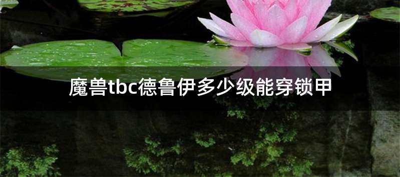 魔兽tbc德鲁伊多少级能穿锁甲