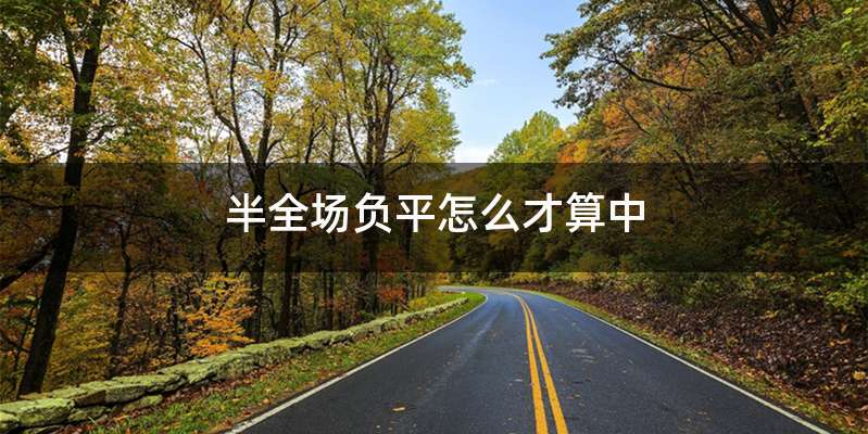 半全场负平怎么才算中