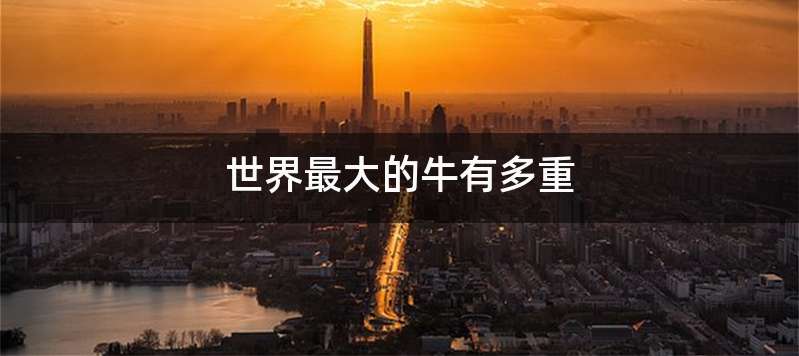 世界最大的牛有多重