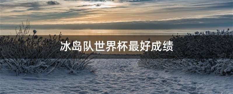 冰岛队世界杯最好成绩