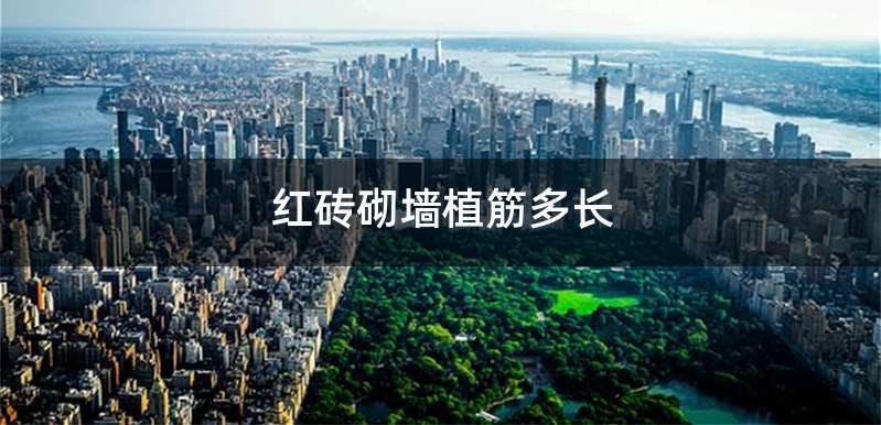 红砖砌墙植筋多长