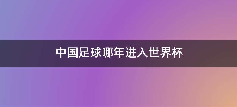 中国足球哪年进入世界杯