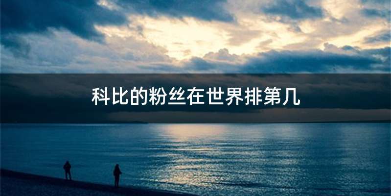 科比的粉丝在世界排第几