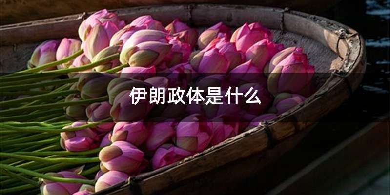 伊朗政体是什么