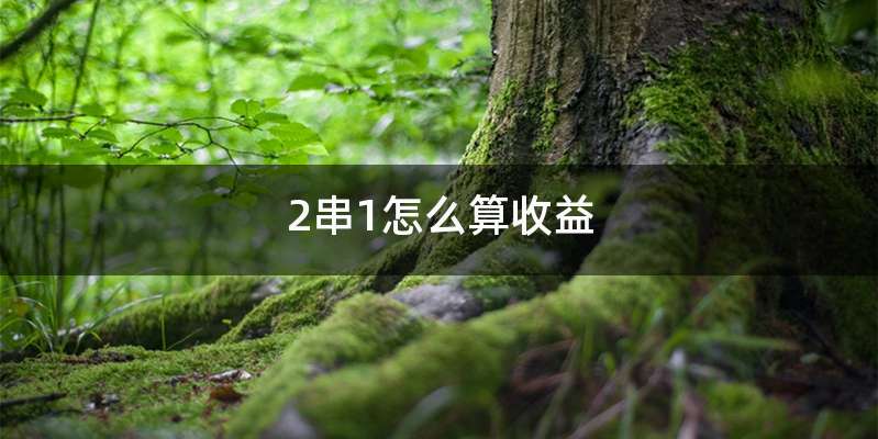 2串1怎么算收益