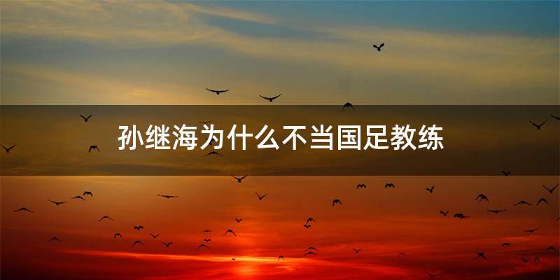 孙继海为什么不当国足教练