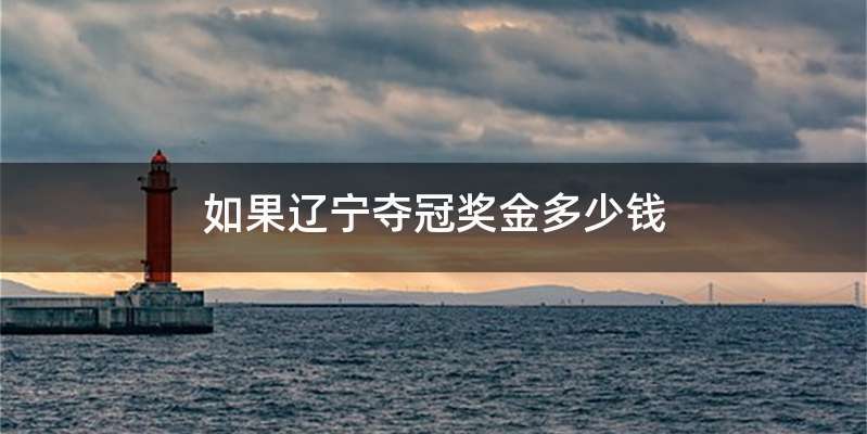 如果辽宁夺冠奖金多少钱