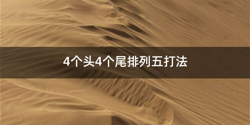 4个头4个尾排列五打法