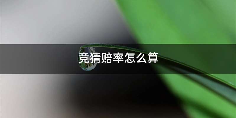 竞猜赔率怎么算