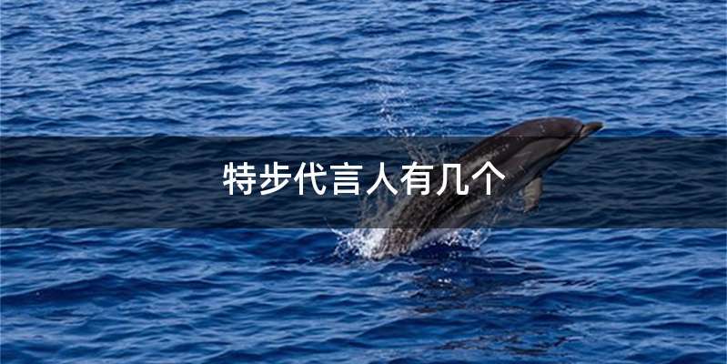 特步代言人有几个