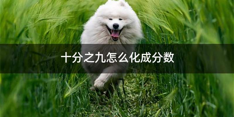 十分之九怎么化成分数