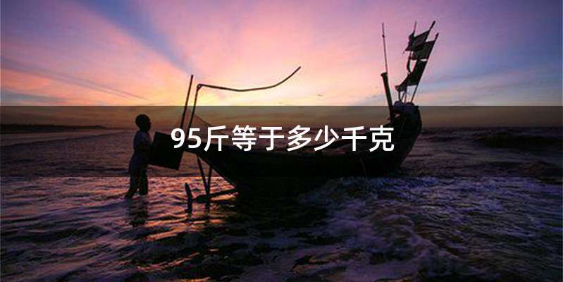 95斤等于多少千克