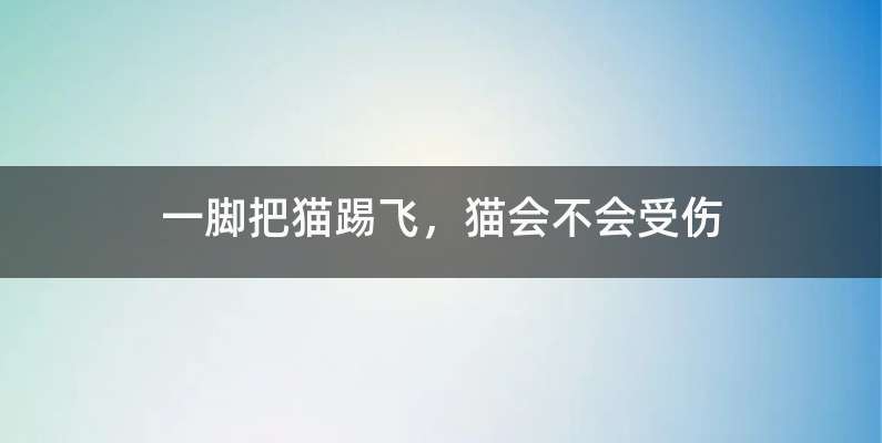 一脚把猫踢飞，猫会不会受伤