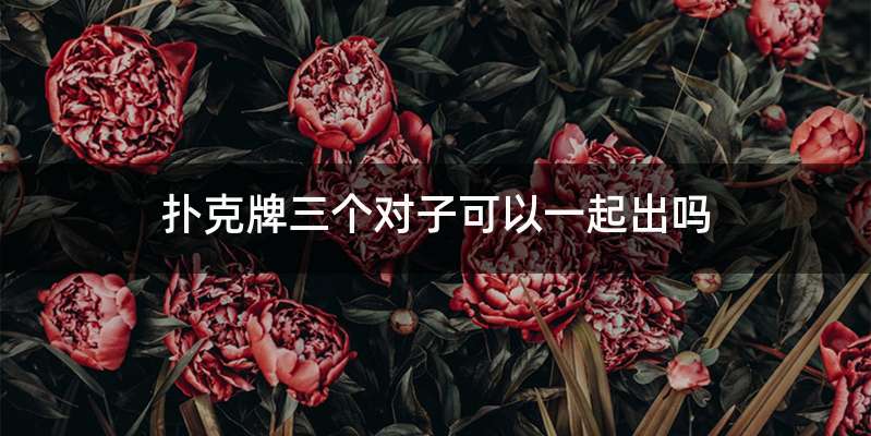 扑克牌三个对子可以一起出吗