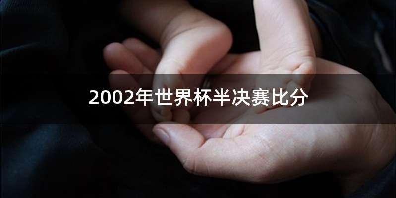 2002年世界杯半决赛比分
