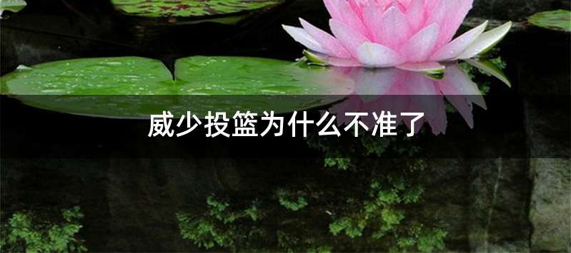 威少投篮为什么不准了