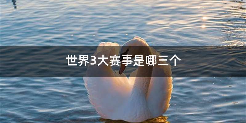 世界3大赛事是哪三个