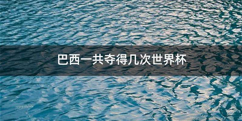 巴西一共夺得几次世界杯