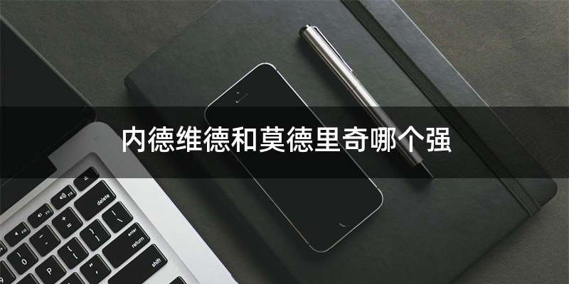 内德维德和莫德里奇哪个强