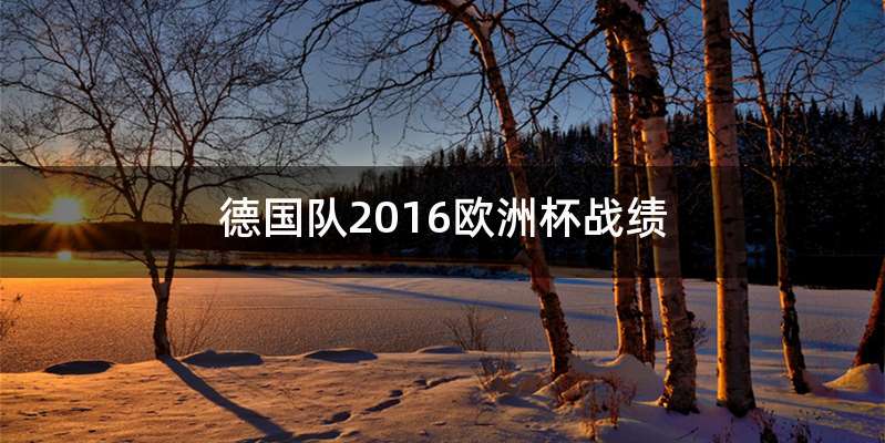 德国队2016欧洲杯战绩